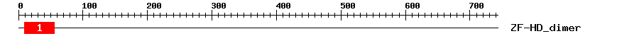 Signature Domain