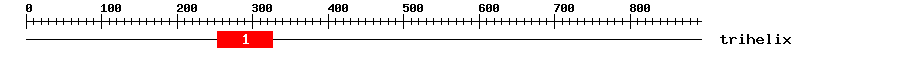 Signature Domain