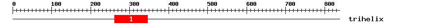 Signature Domain