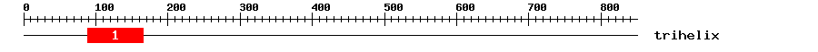 Signature Domain