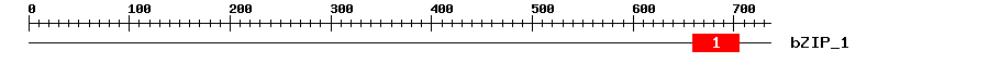 Signature Domain