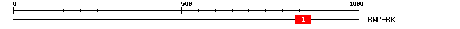 Signature Domain
