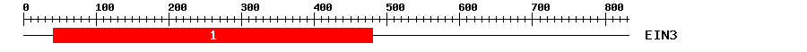 Signature Domain