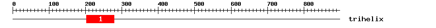 Signature Domain