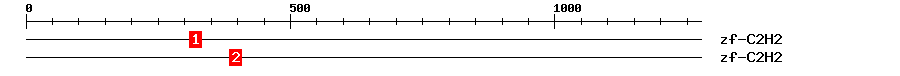 Signature Domain