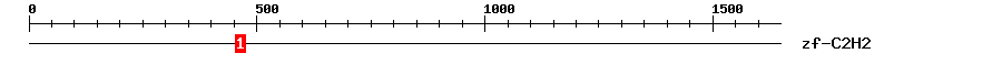 Signature Domain