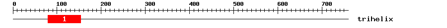 Signature Domain