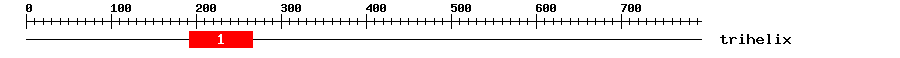 Signature Domain