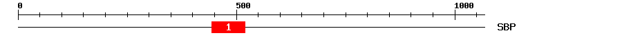 Signature Domain