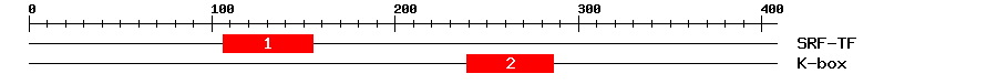 Signature Domain