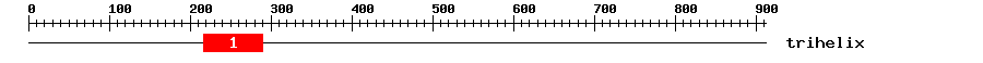 Signature Domain