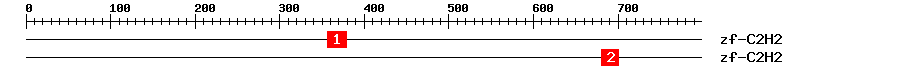 Signature Domain