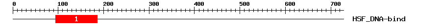 Signature Domain