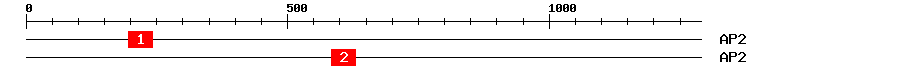 Signature Domain