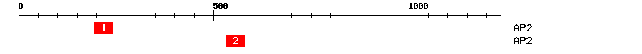 Signature Domain