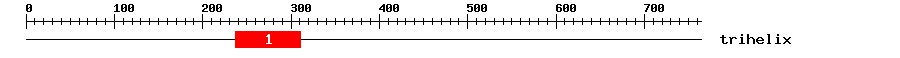 Signature Domain