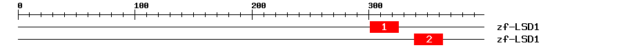 Signature Domain
