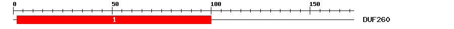 Signature Domain