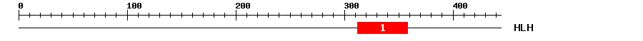 Signature Domain