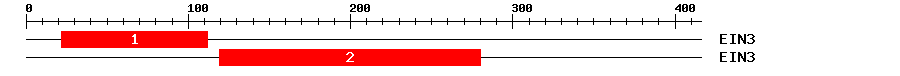 Signature Domain