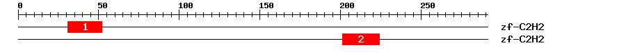 Signature Domain