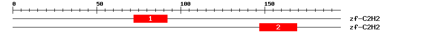 Signature Domain