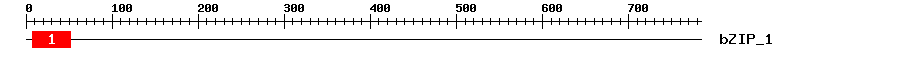 Signature Domain