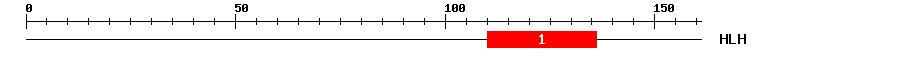 Signature Domain