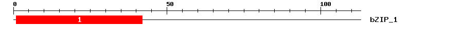 Signature Domain