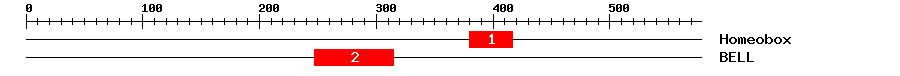 Signature Domain