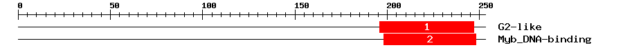 Signature Domain