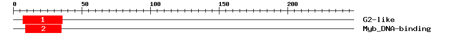 Signature Domain