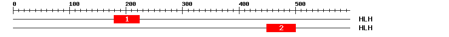 Signature Domain