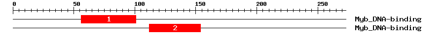 Signature Domain