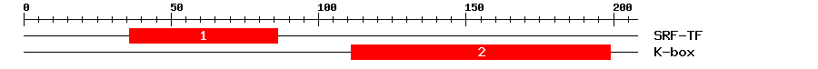 Signature Domain