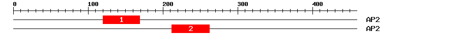 Signature Domain