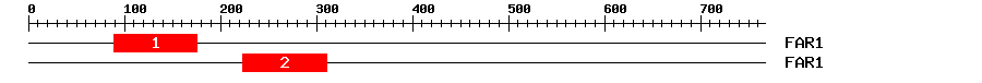 Signature Domain
