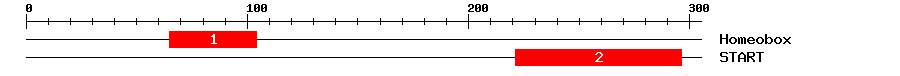 Signature Domain