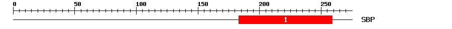 Signature Domain