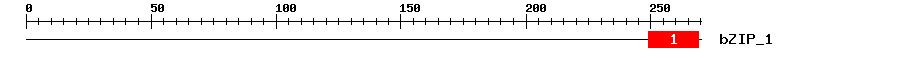 Signature Domain
