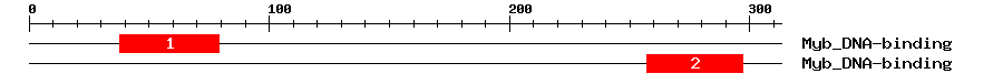 Signature Domain
