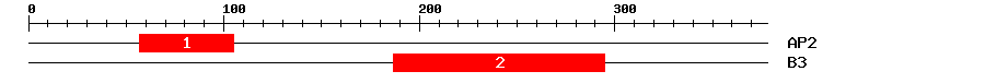 Signature Domain