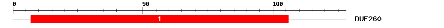 Signature Domain