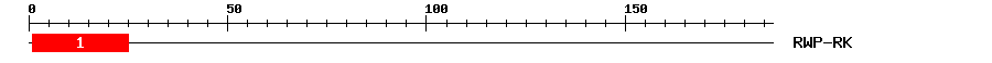 Signature Domain