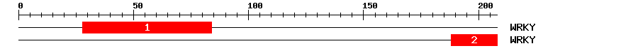 Signature Domain
