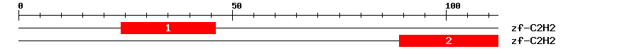 Signature Domain
