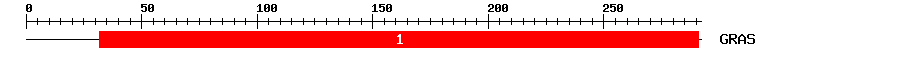 Signature Domain