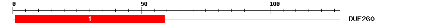 Signature Domain