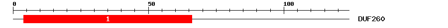 Signature Domain