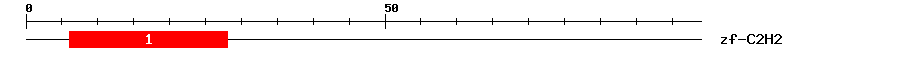 Signature Domain